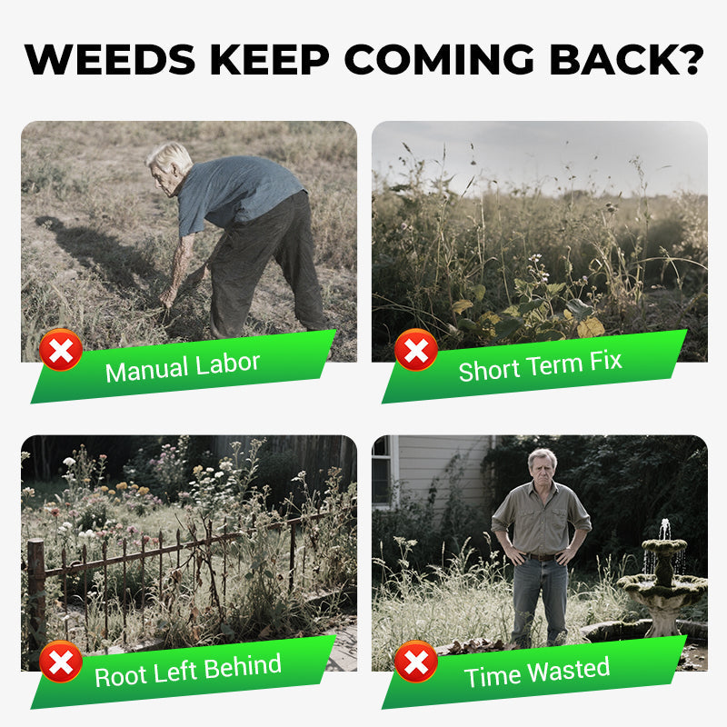 Cyclosinone Herbicide Granules | 🔥FREE CLIMBING ROSE SEEDS🔥